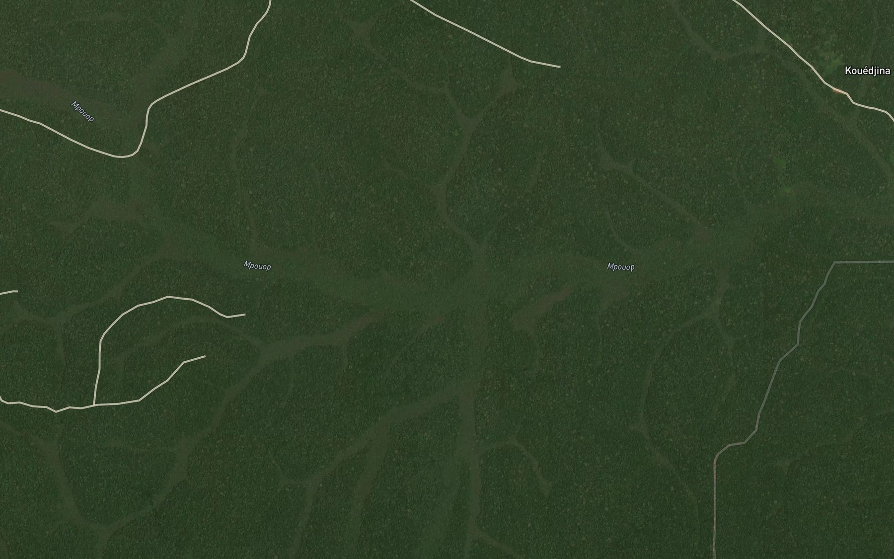 Satellite map of the Momduel