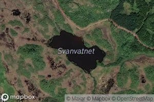 Svanvatnet