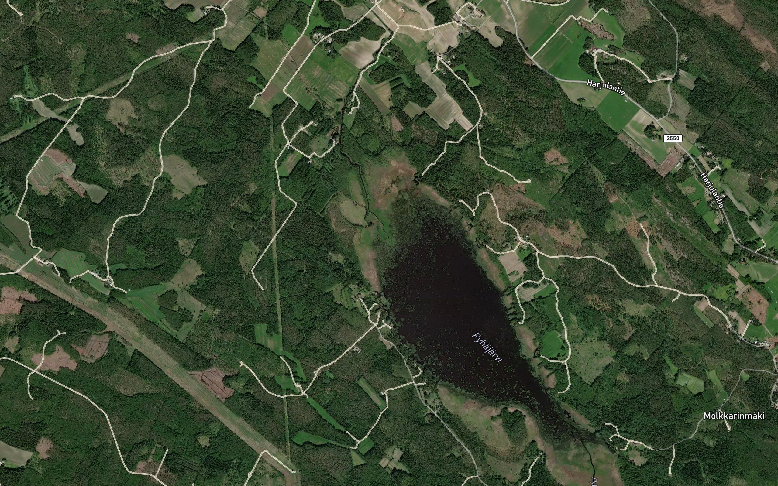 Palusjoki