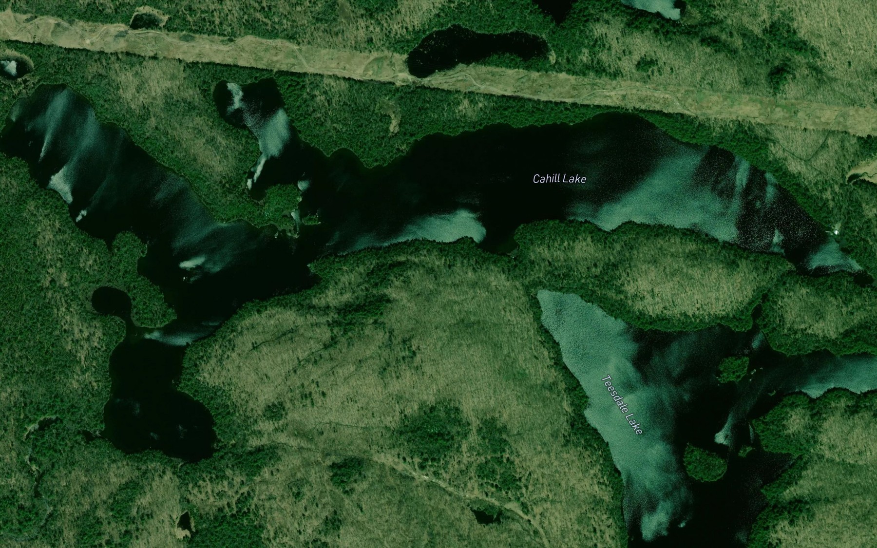 Satellite map of the Cahill Lake