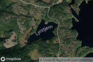 Lyretjorn