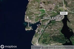 Traelevika