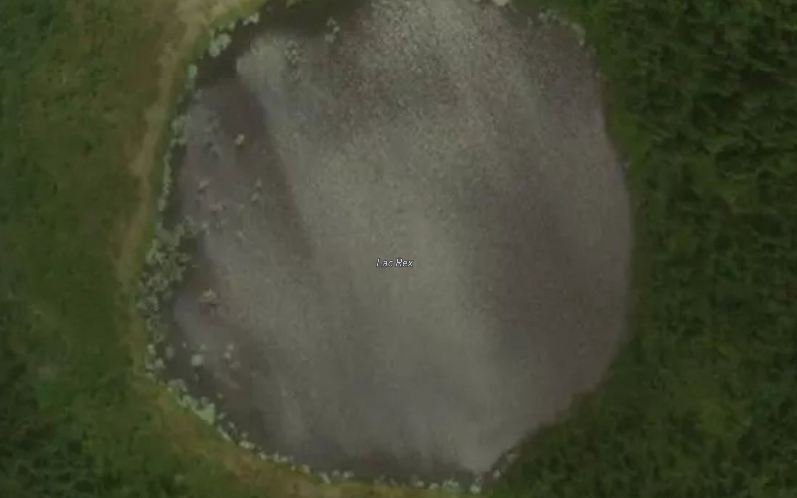 Lac Rex