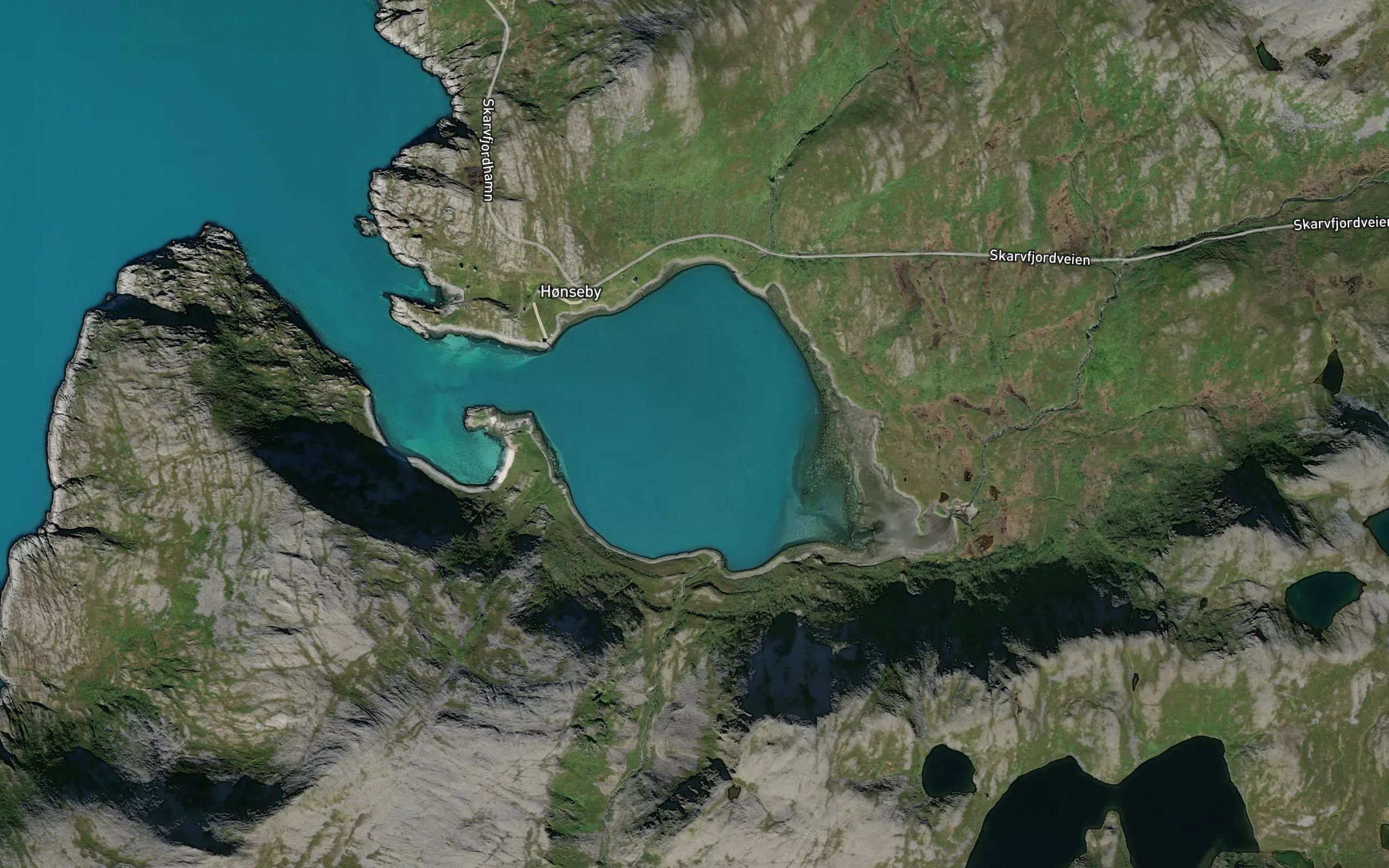 Honsebyvika