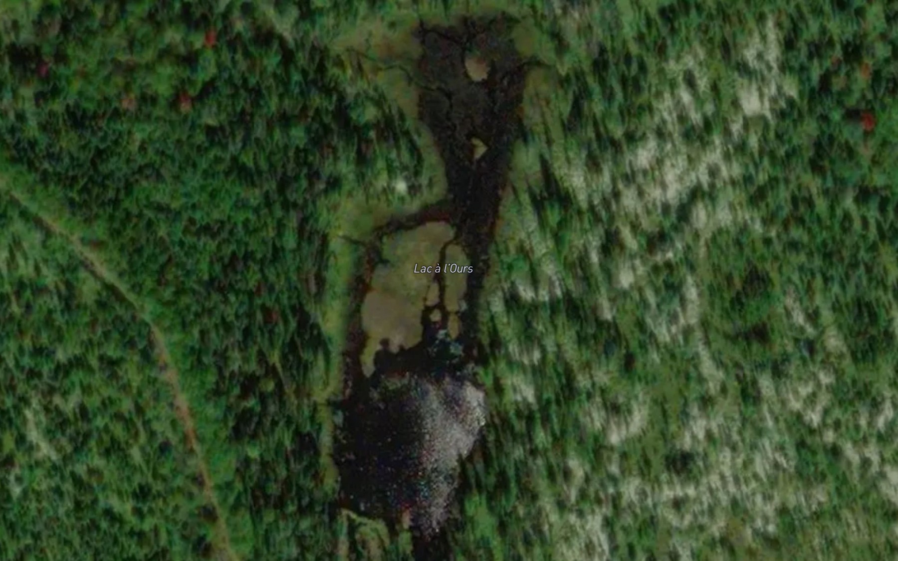 Satellite map of the Lac a l'Ours