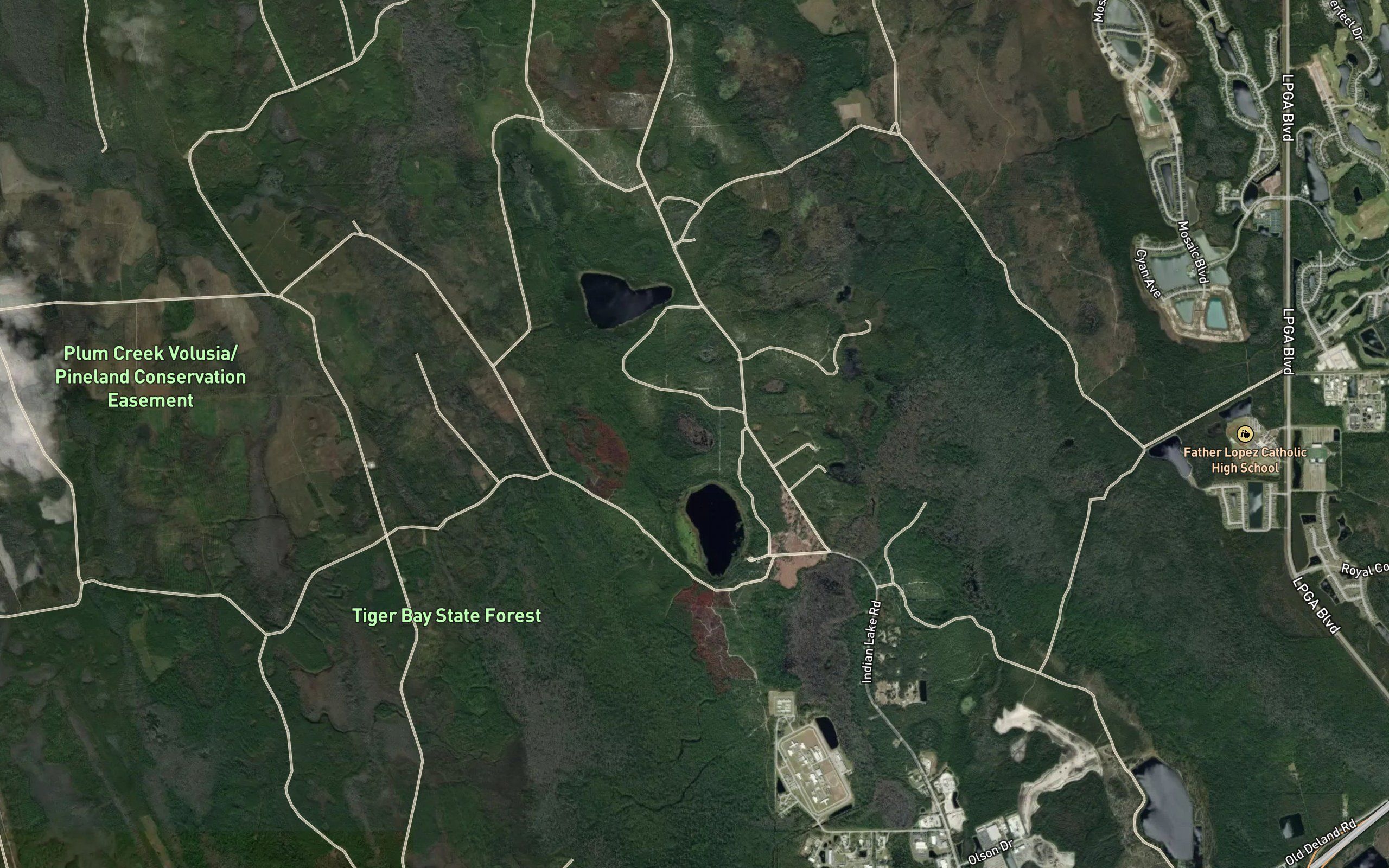 Coon Pond