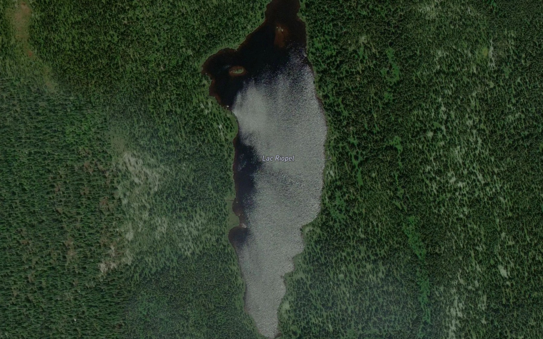 Satellite map of the Lac Riopel