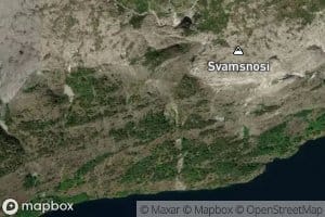 Svamsgrovi