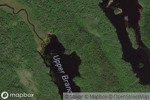 Dog Lake Brook