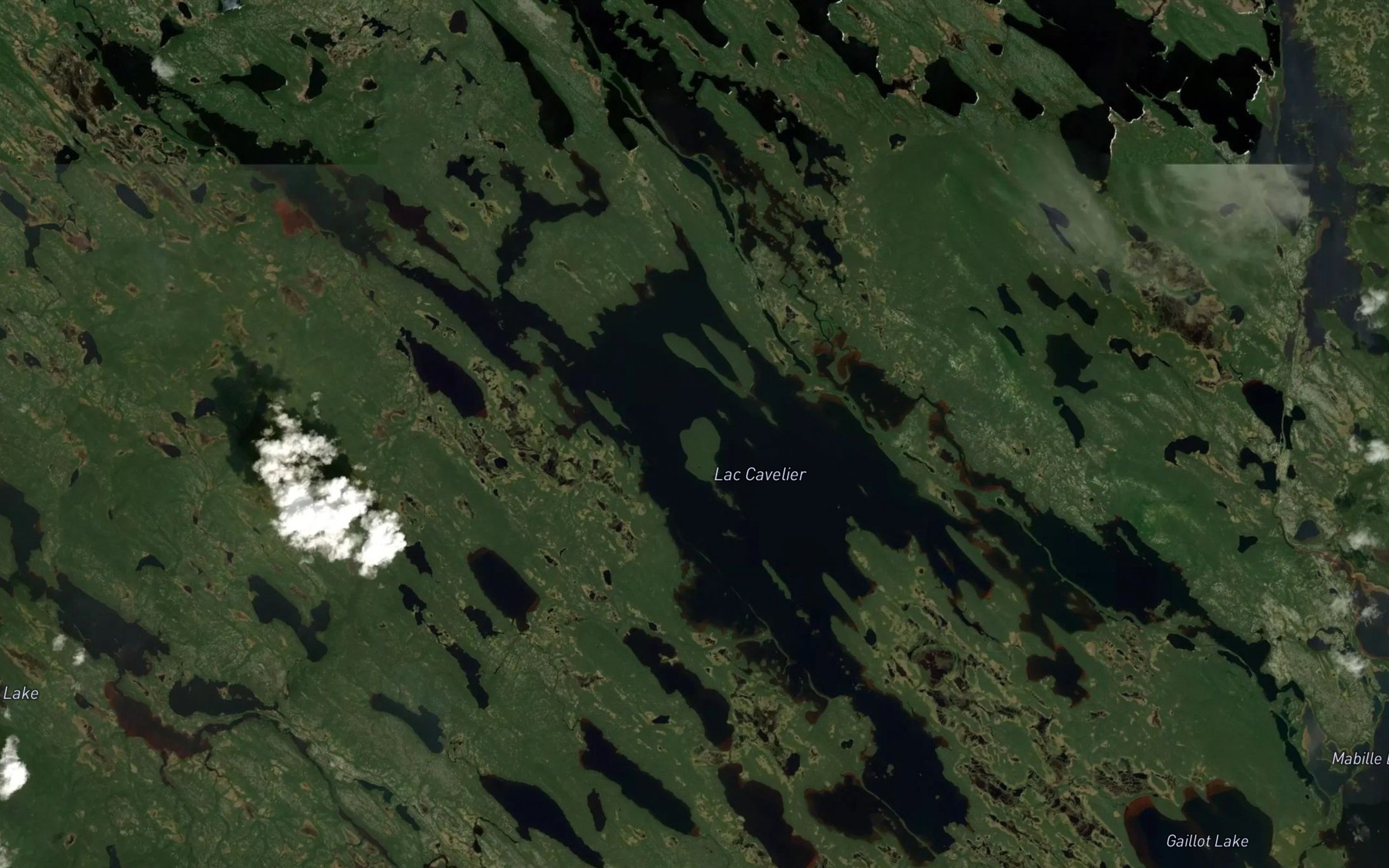 Satellite map of the Lac Cavelier