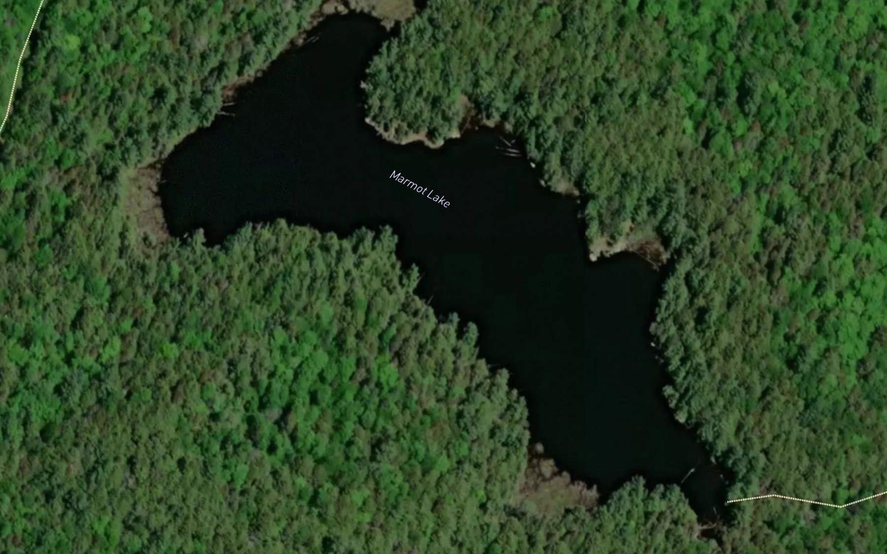 Satellite map of the Marmot Lake