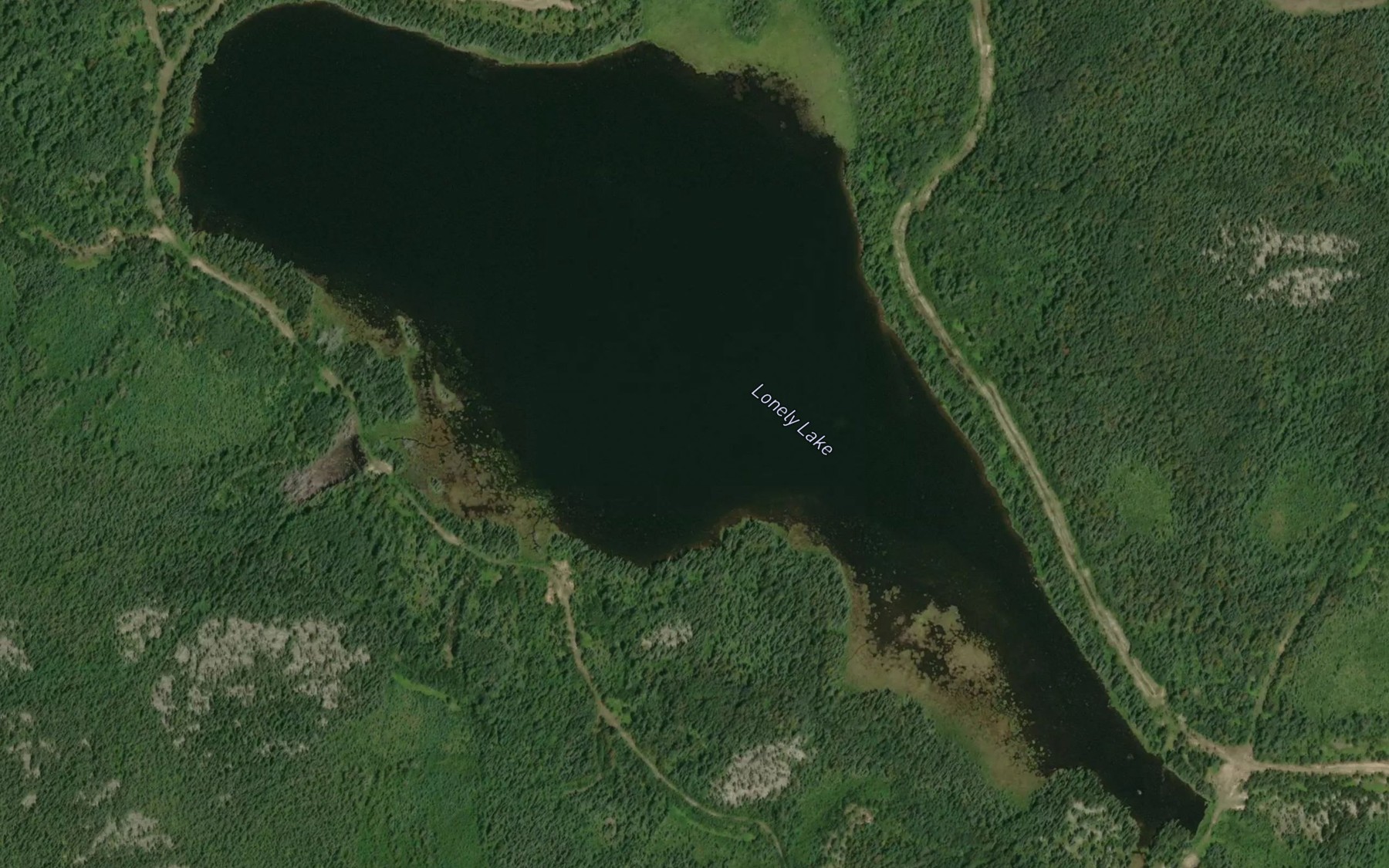 Satellite map of the Lonely Lake