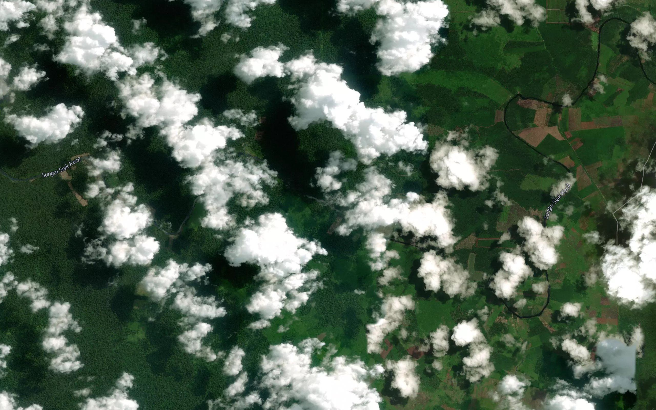 Sungai Rotan Dini