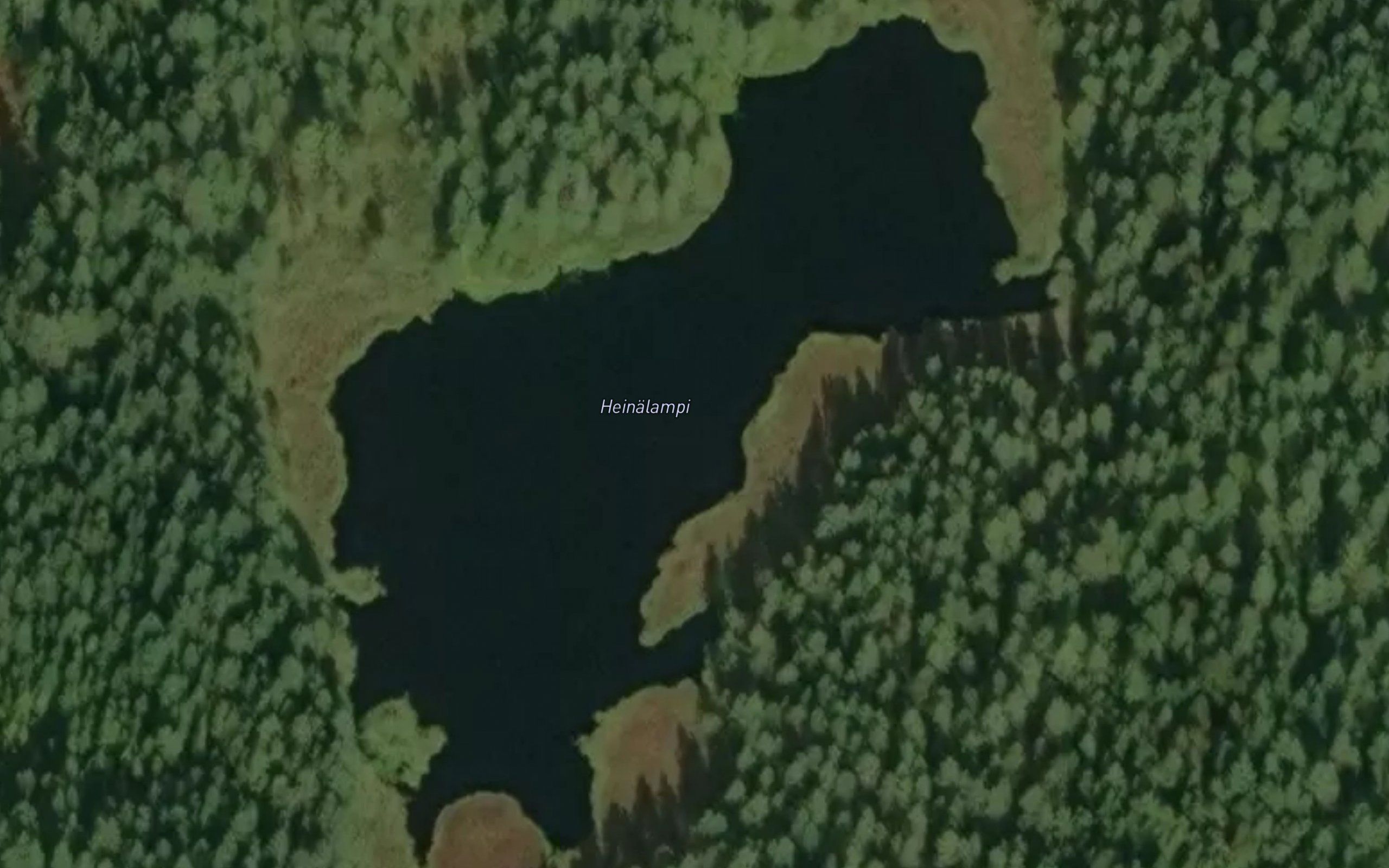Heinalampi