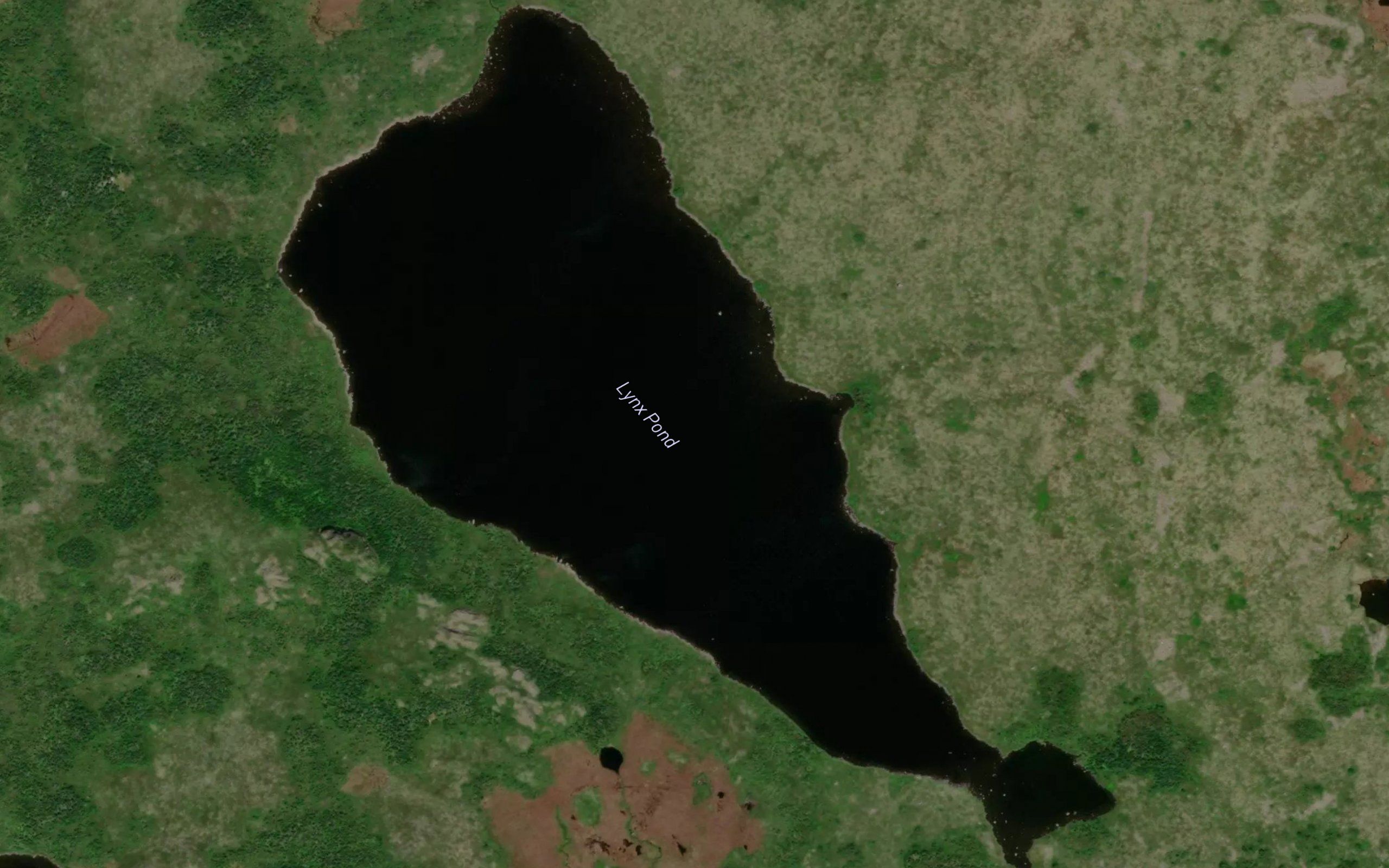 Lynx Pond