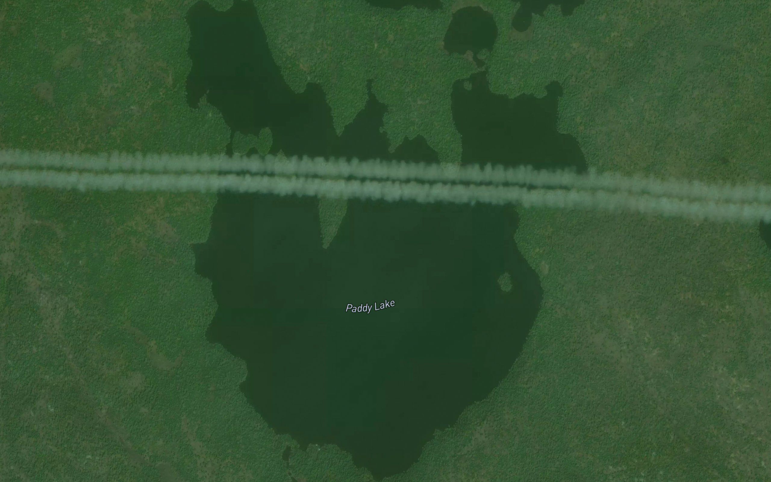Paddy Lake