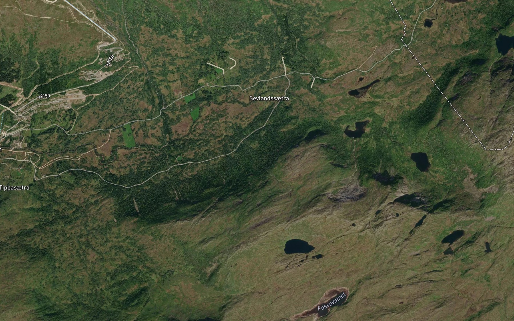 Satellite map of the Svartegrova