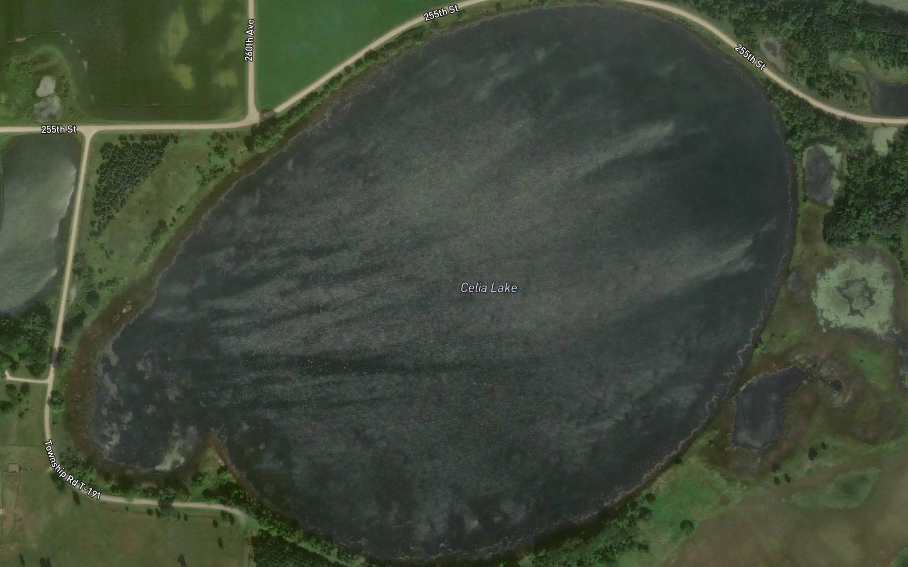 Satellite map of the Celia Lake