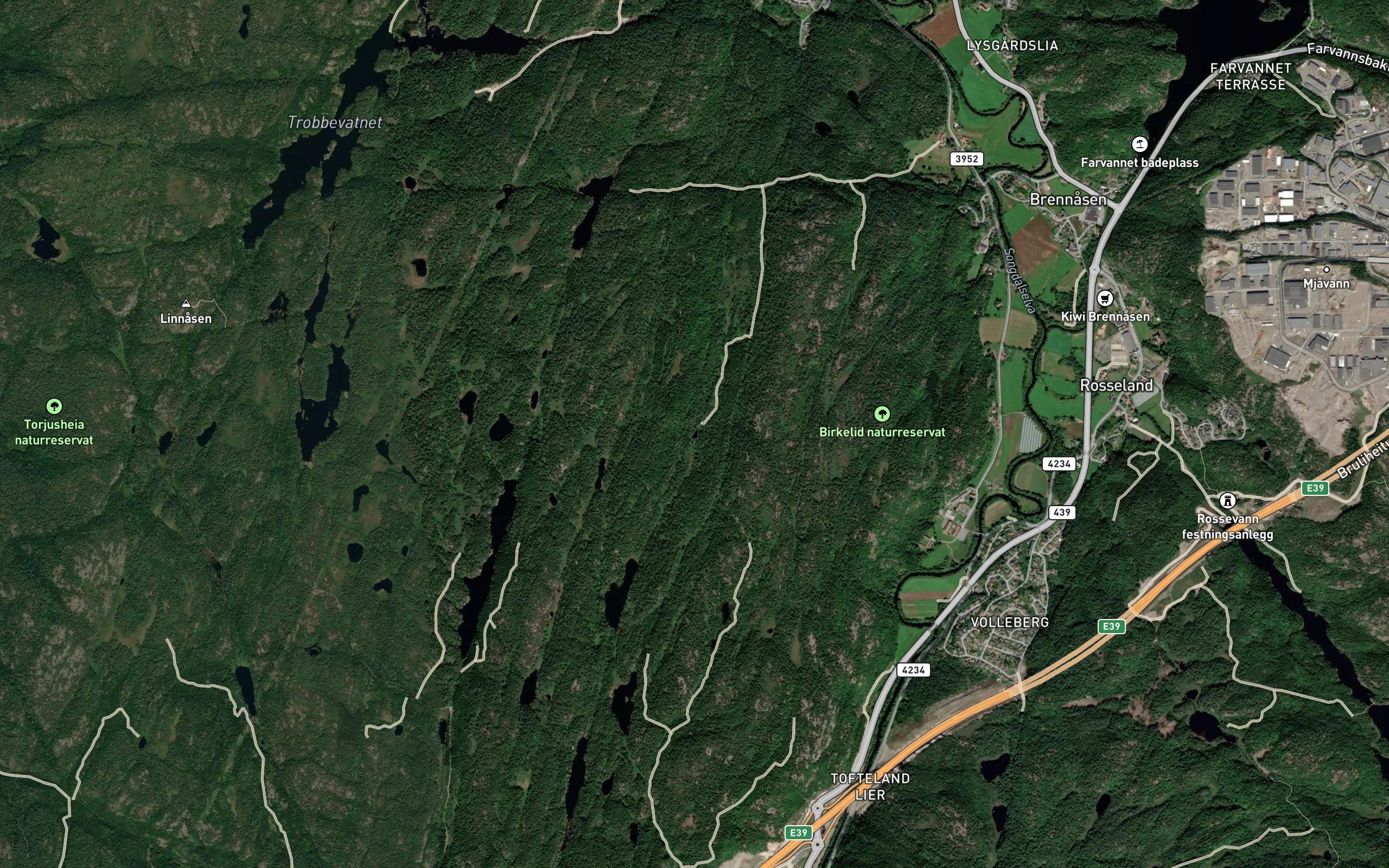 Tustetjonn