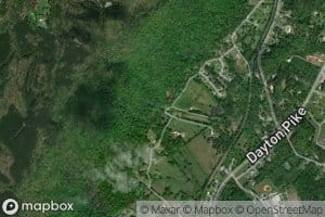 Iris Lovelady Spring