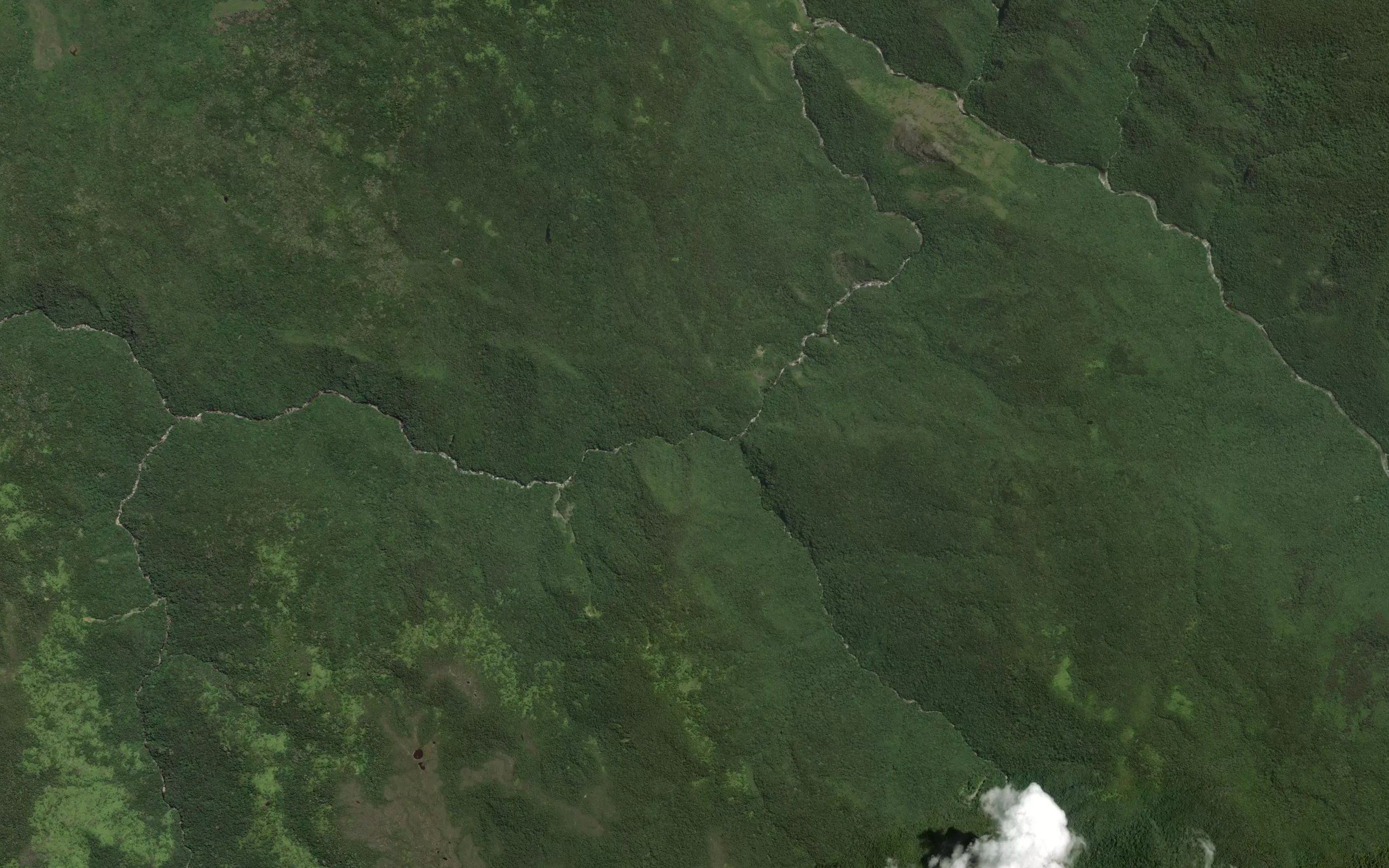 Koro Apole