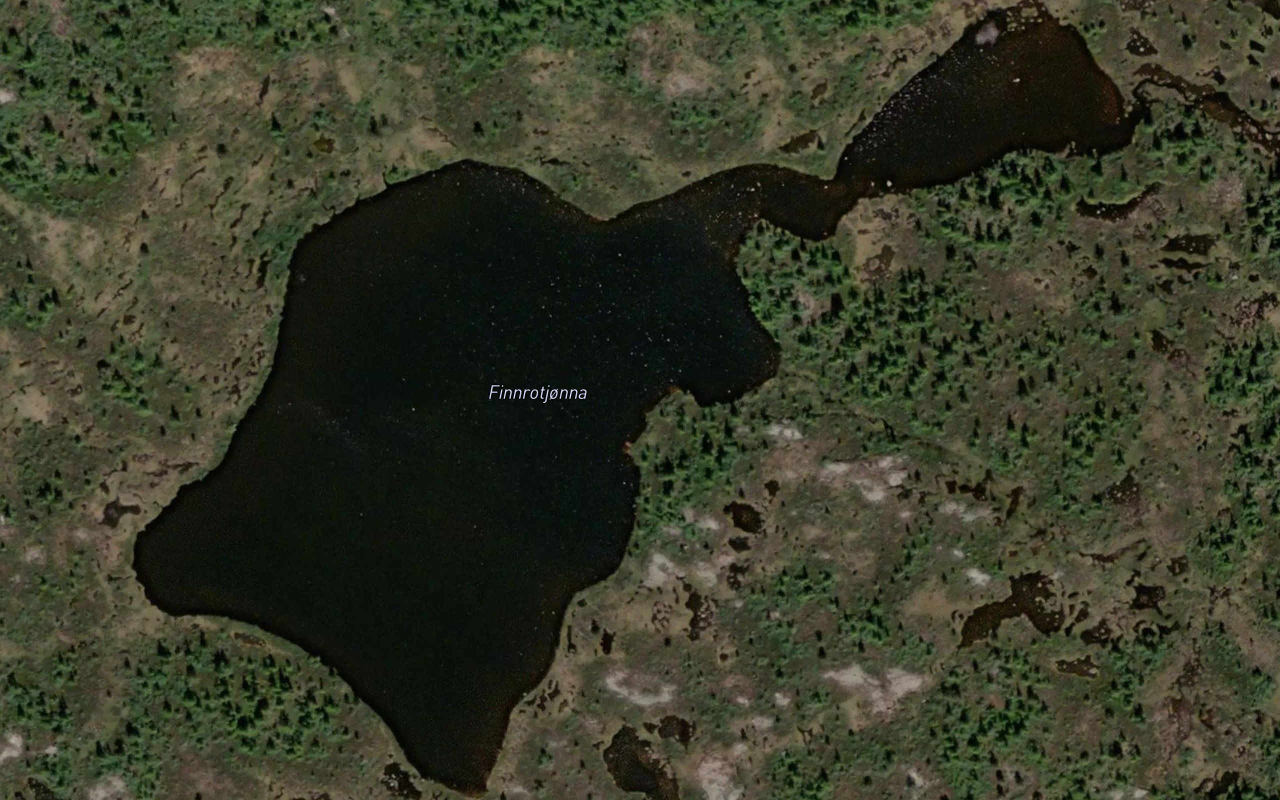 Finnrotjonna