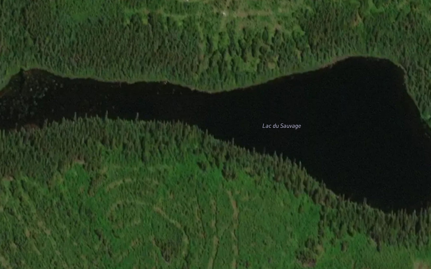 Satellite map of the Lac du Sauvage
