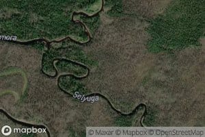 Selyuga