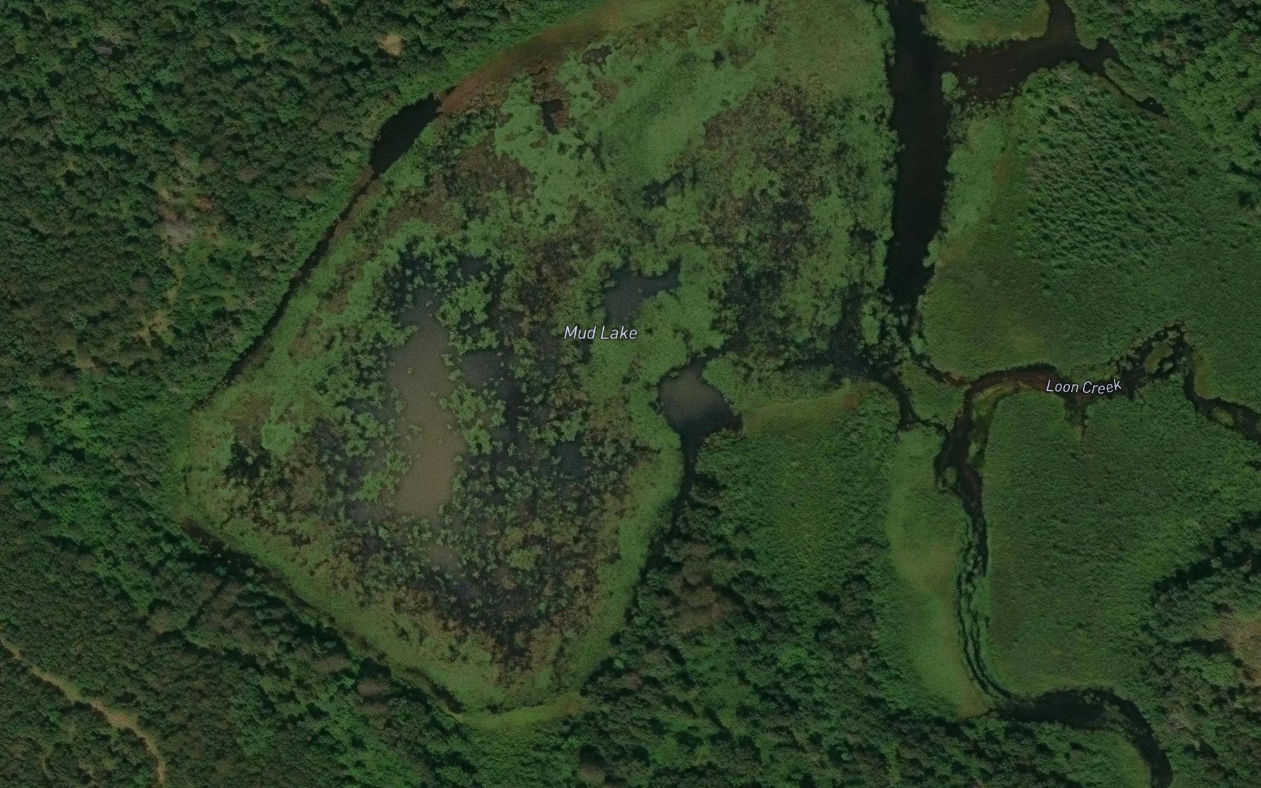 Satellite map of the Mud Lake