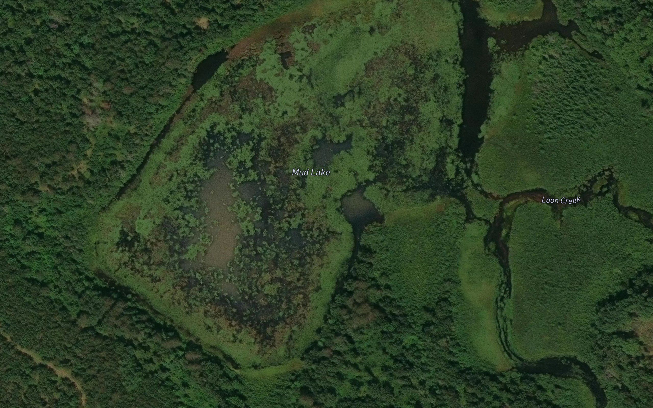 Mud Lake