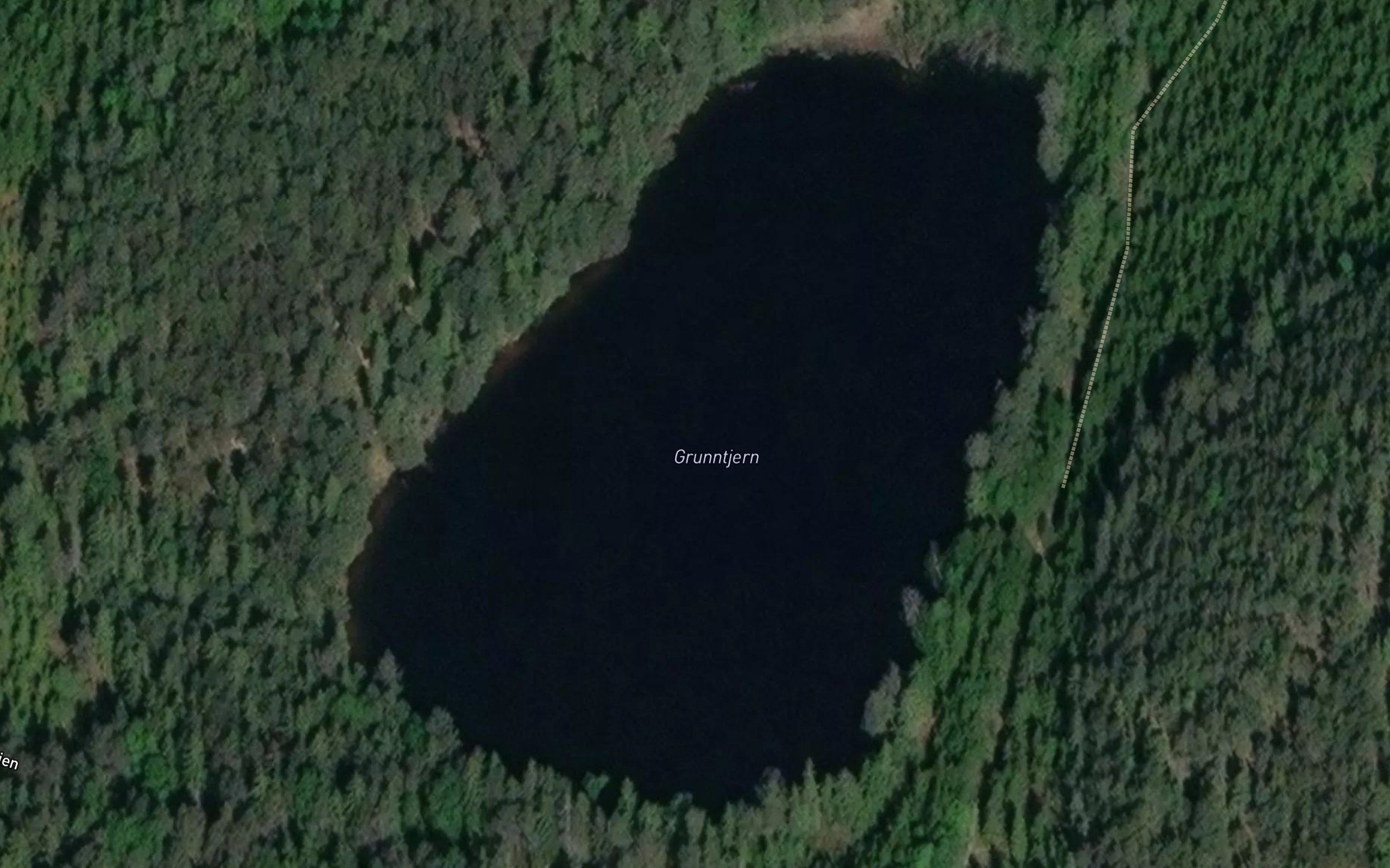 Grunntjern