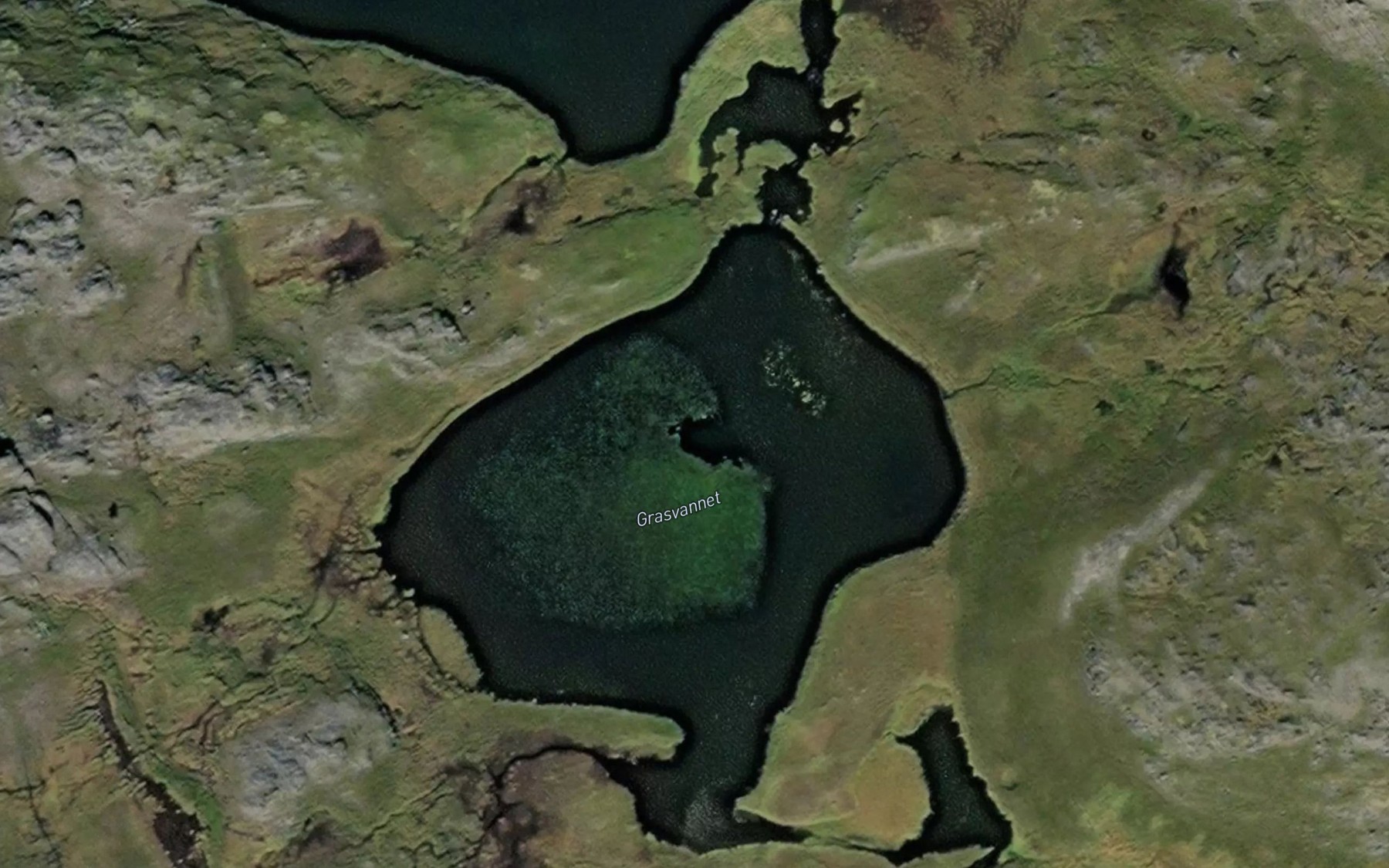 Satellite map of the Grasvatnet