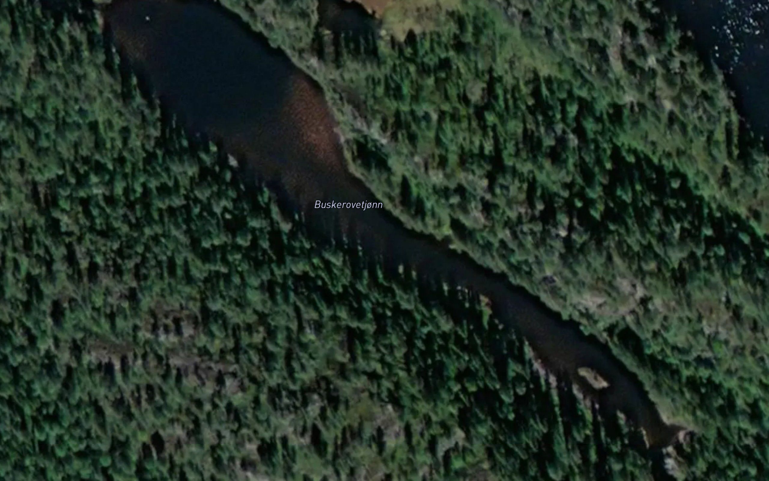 Buskerovetjonn