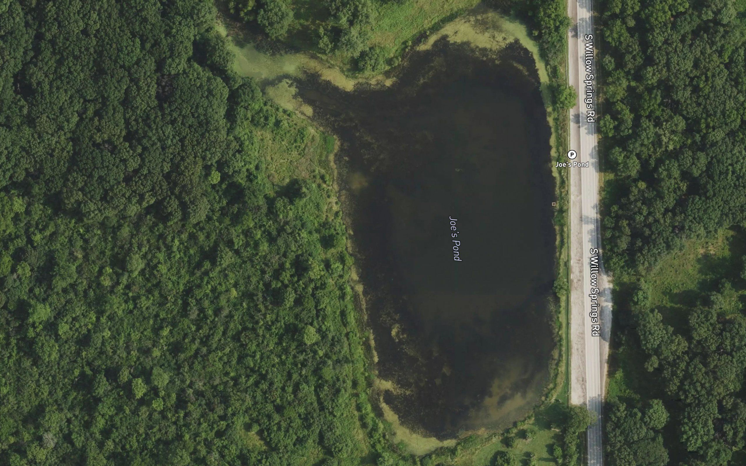 Joes Pond