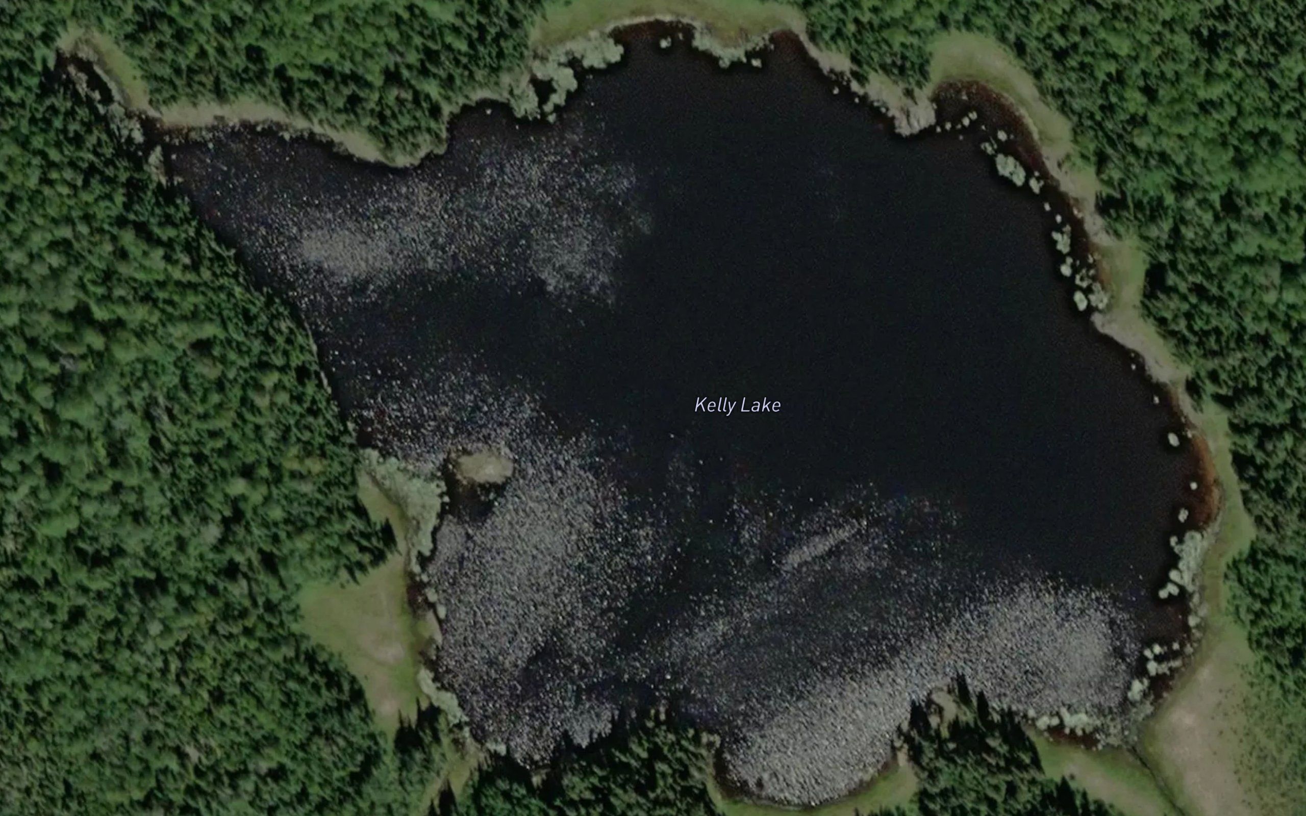 Kelly Lake
