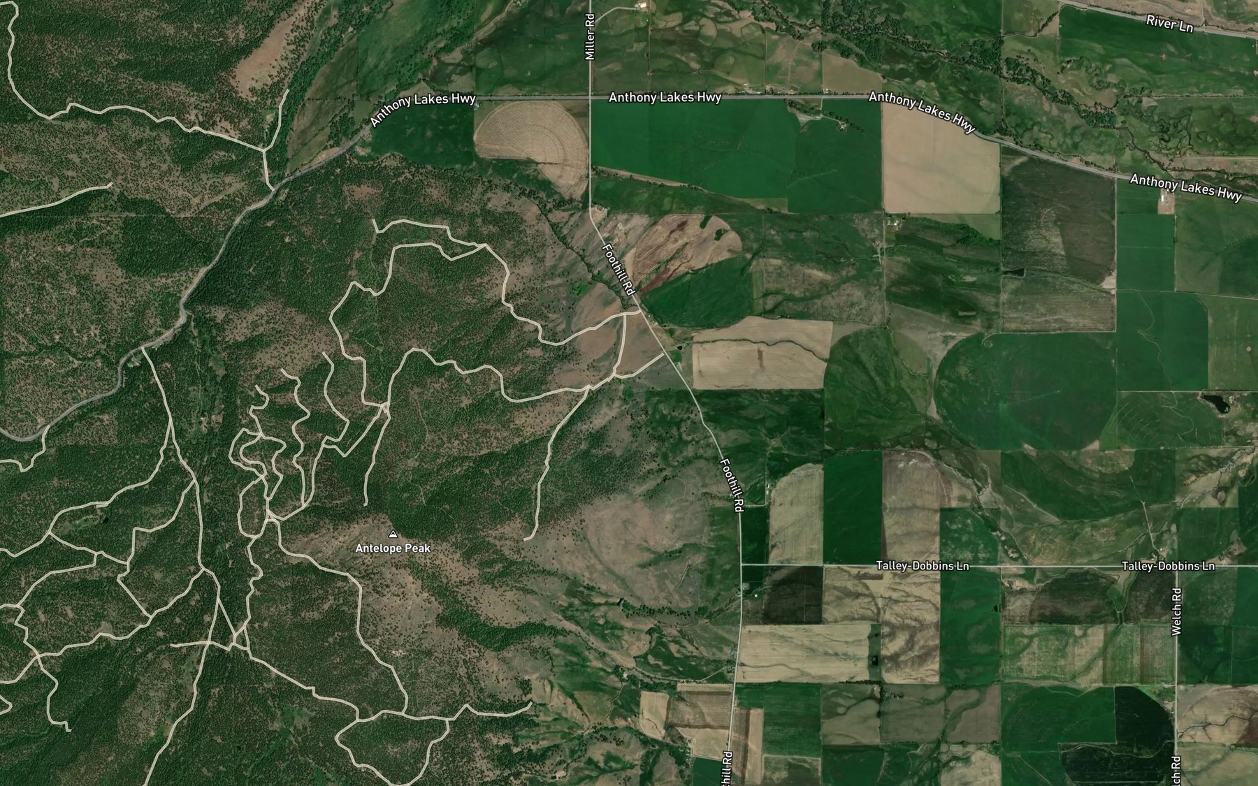 Satellite map of the Hart Spring