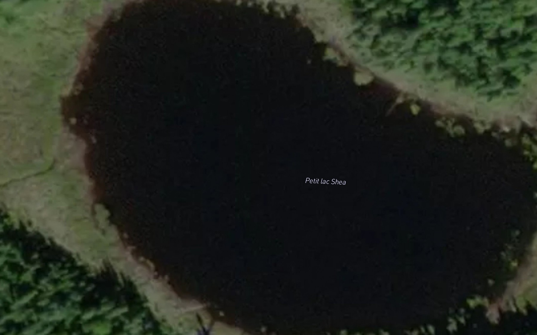 Satellite map of the Petit lac Shea