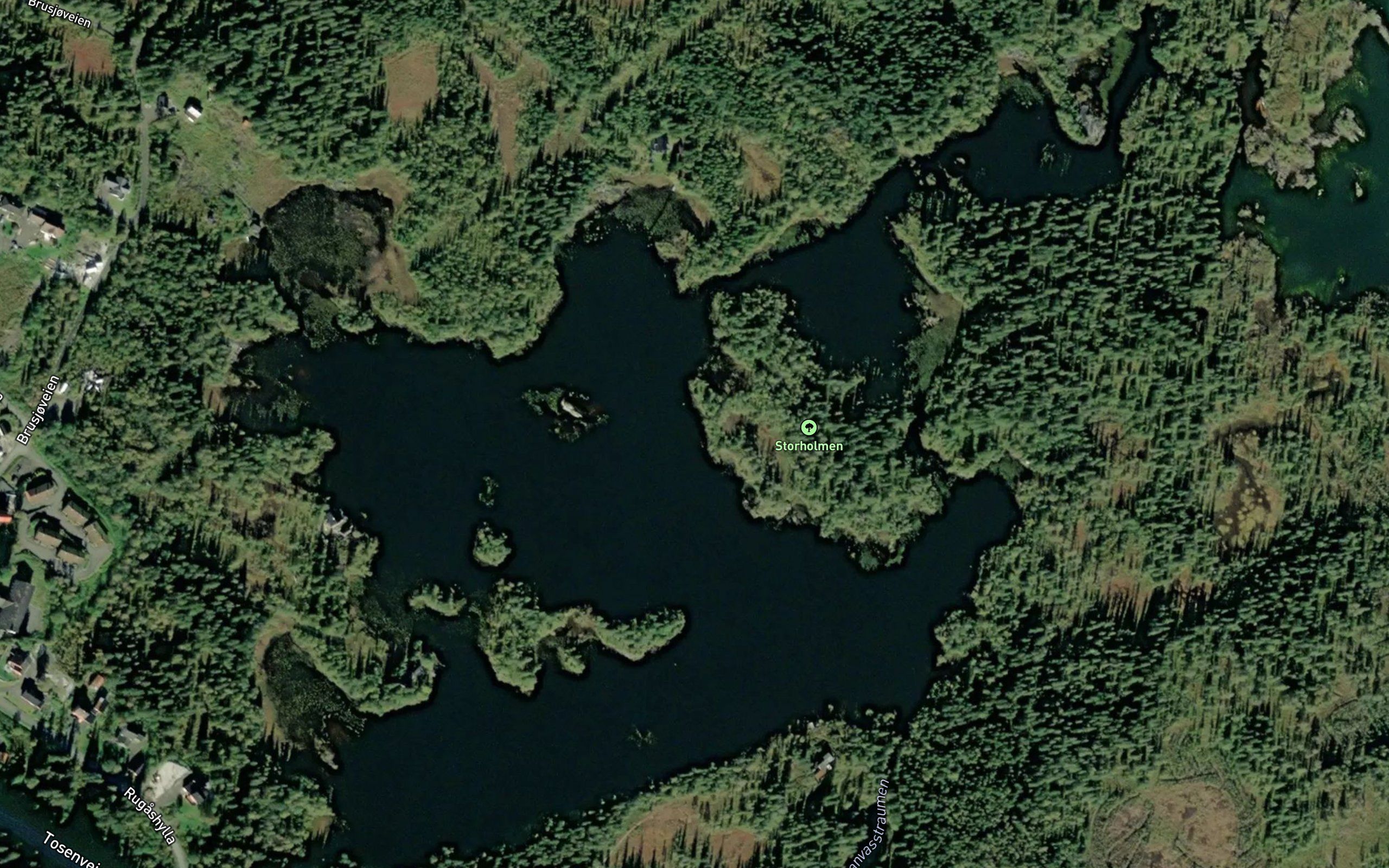 Svanvatnet