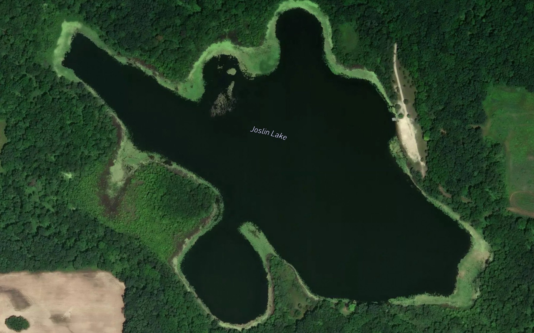 Satellite map of the Joslin Lake