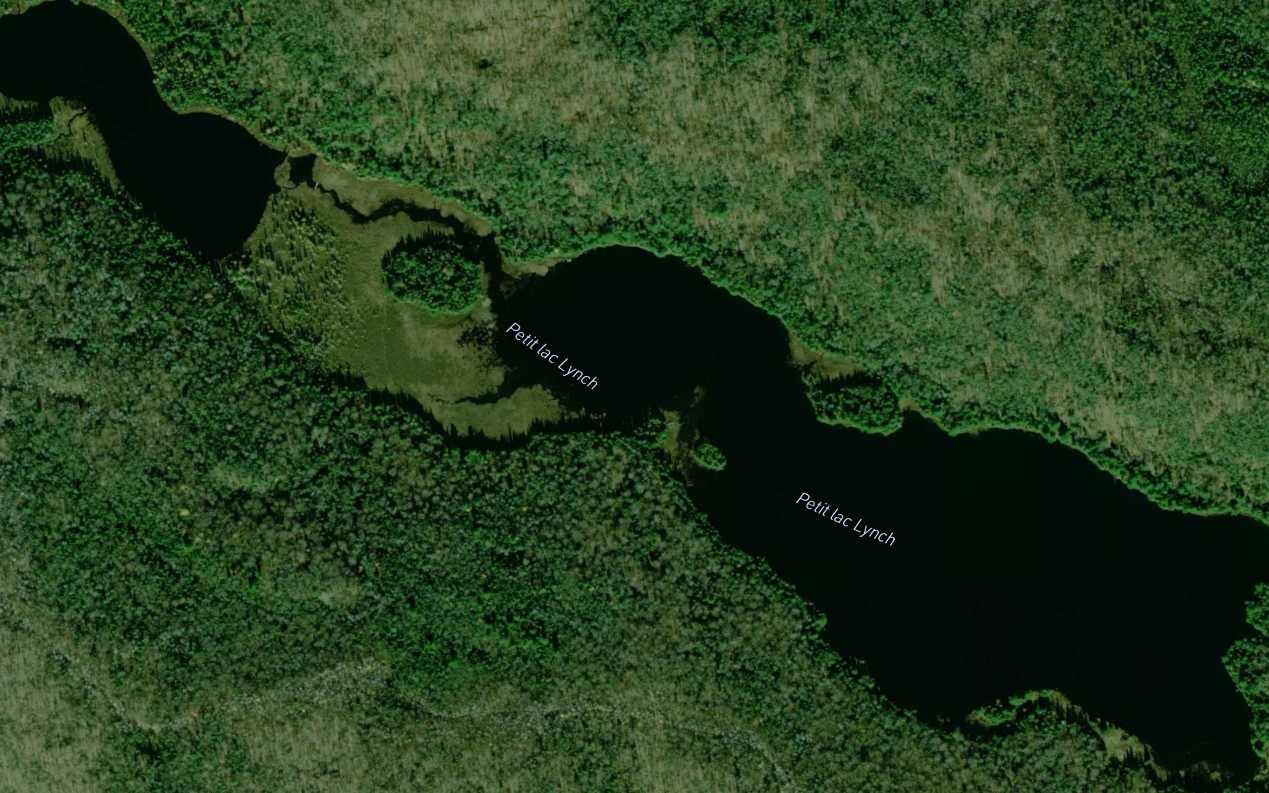 Petit lac Lynch