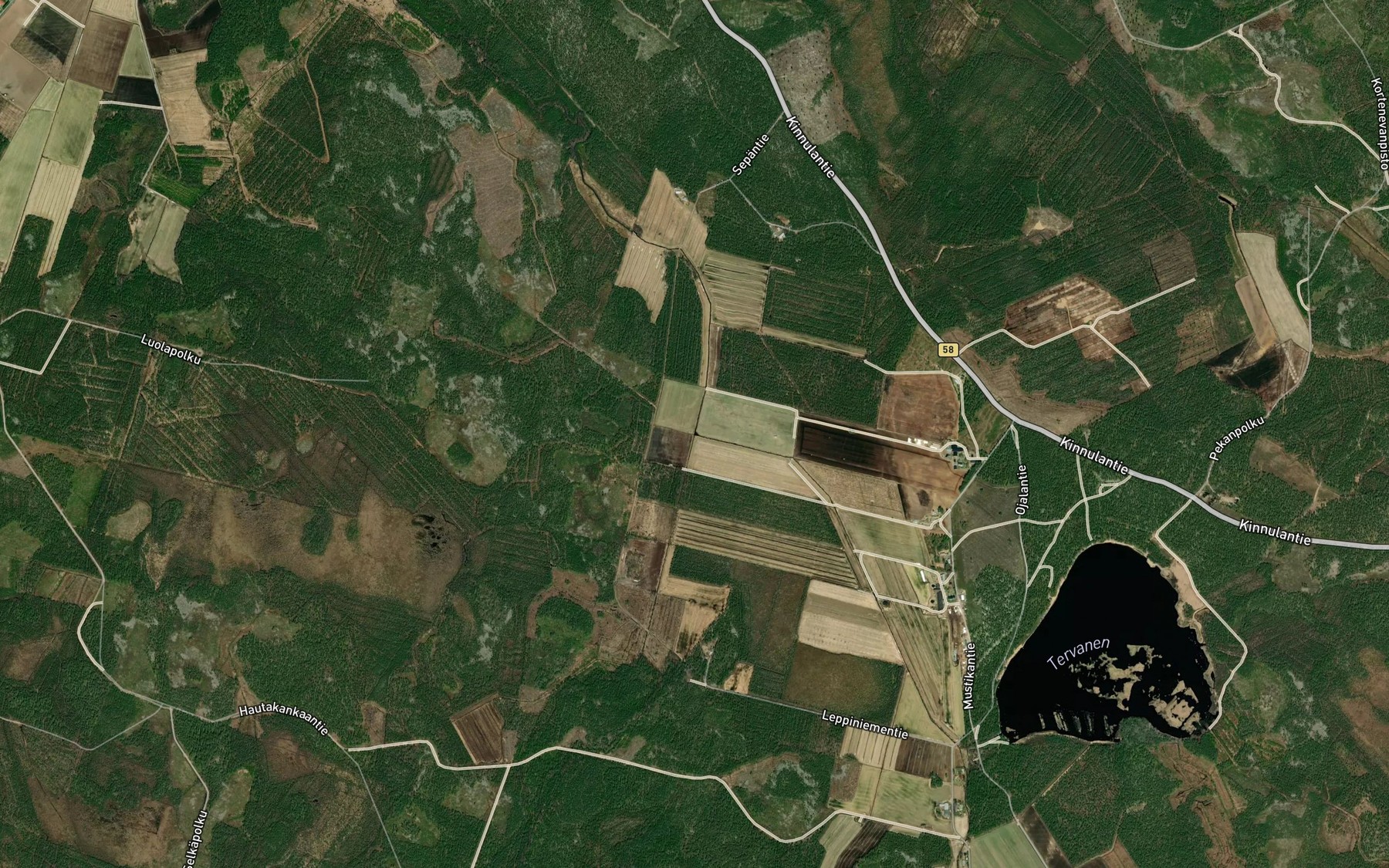 Satellite map of the Saarisenpuro