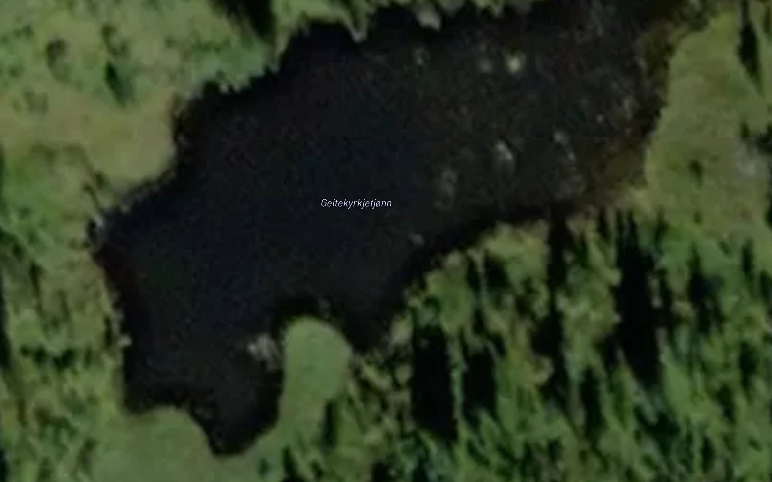 Geitekyrkjetjonn