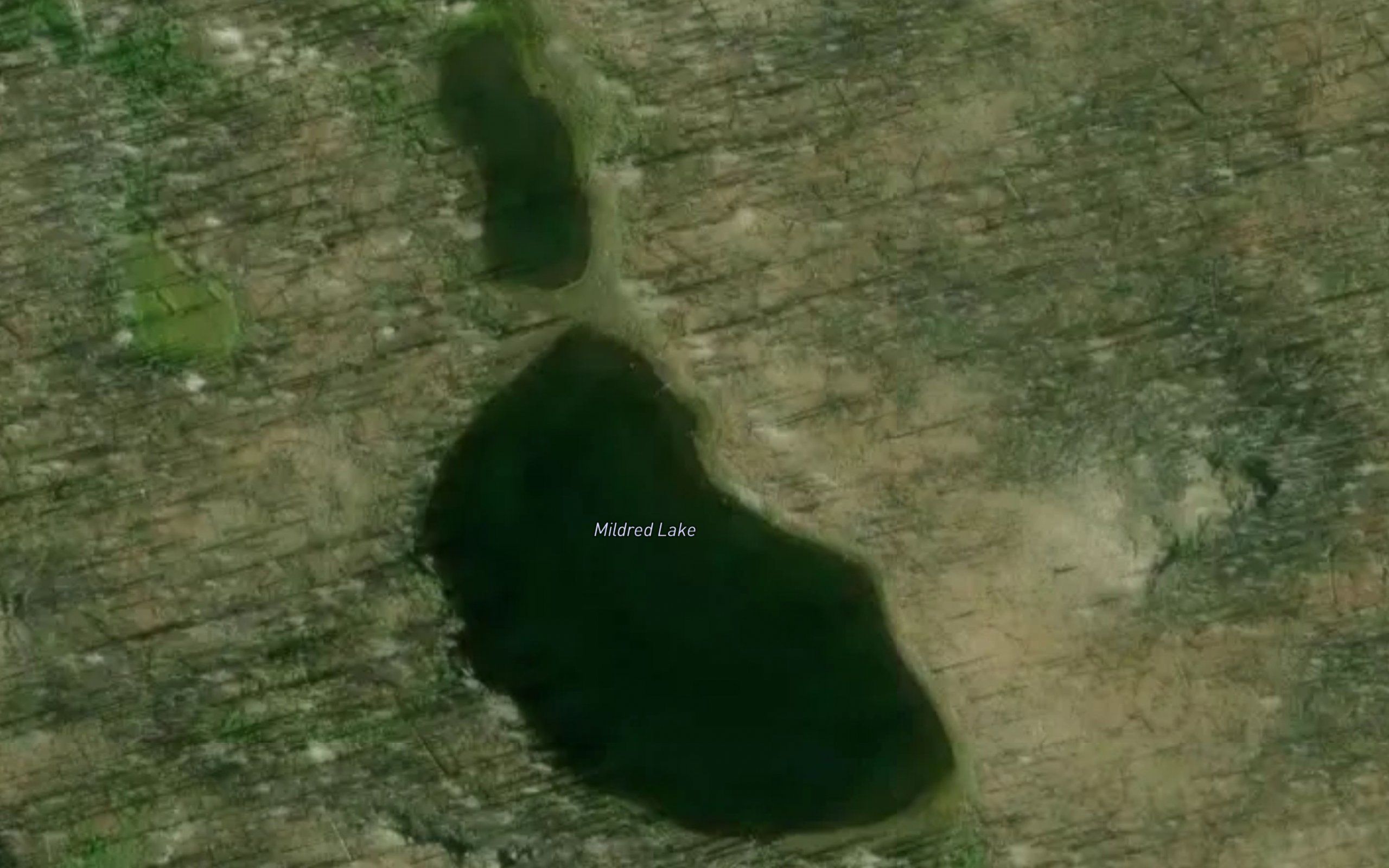 Mildred Lake