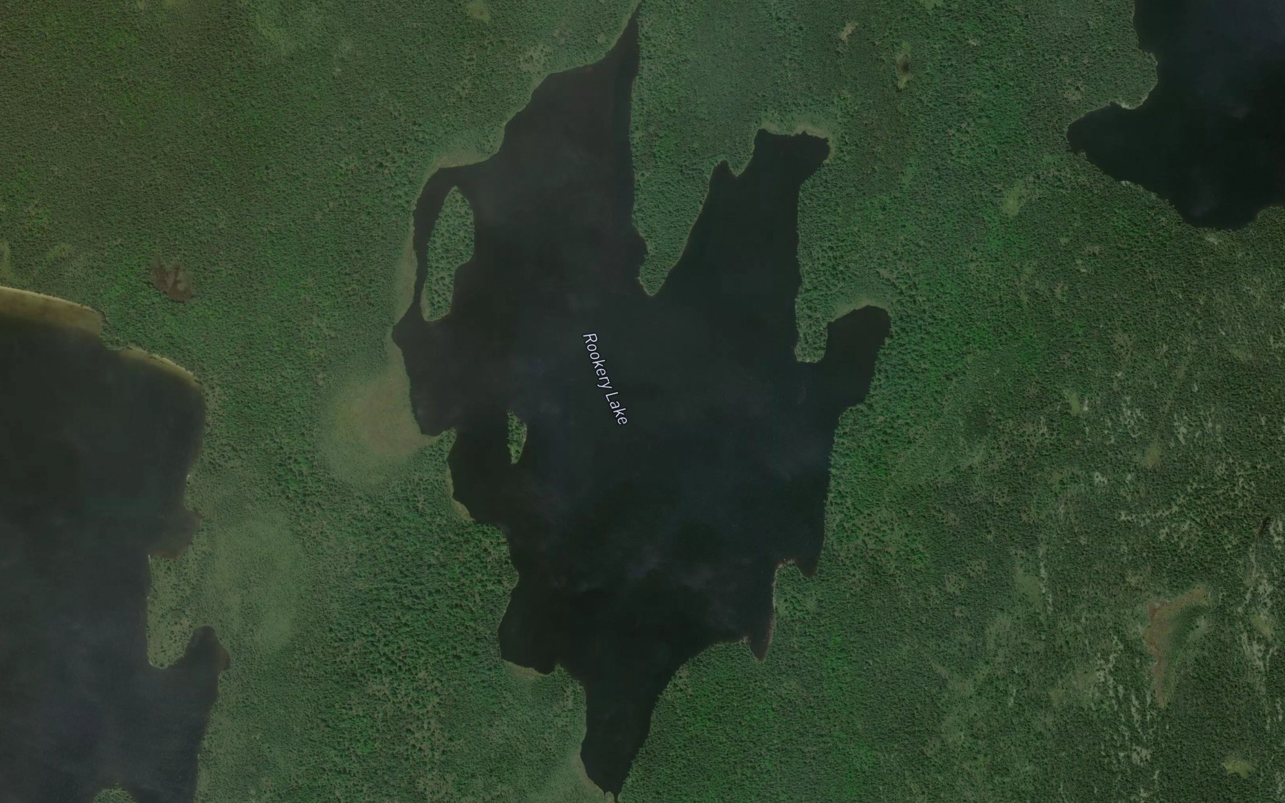 Satellite map of the Rookery Lake