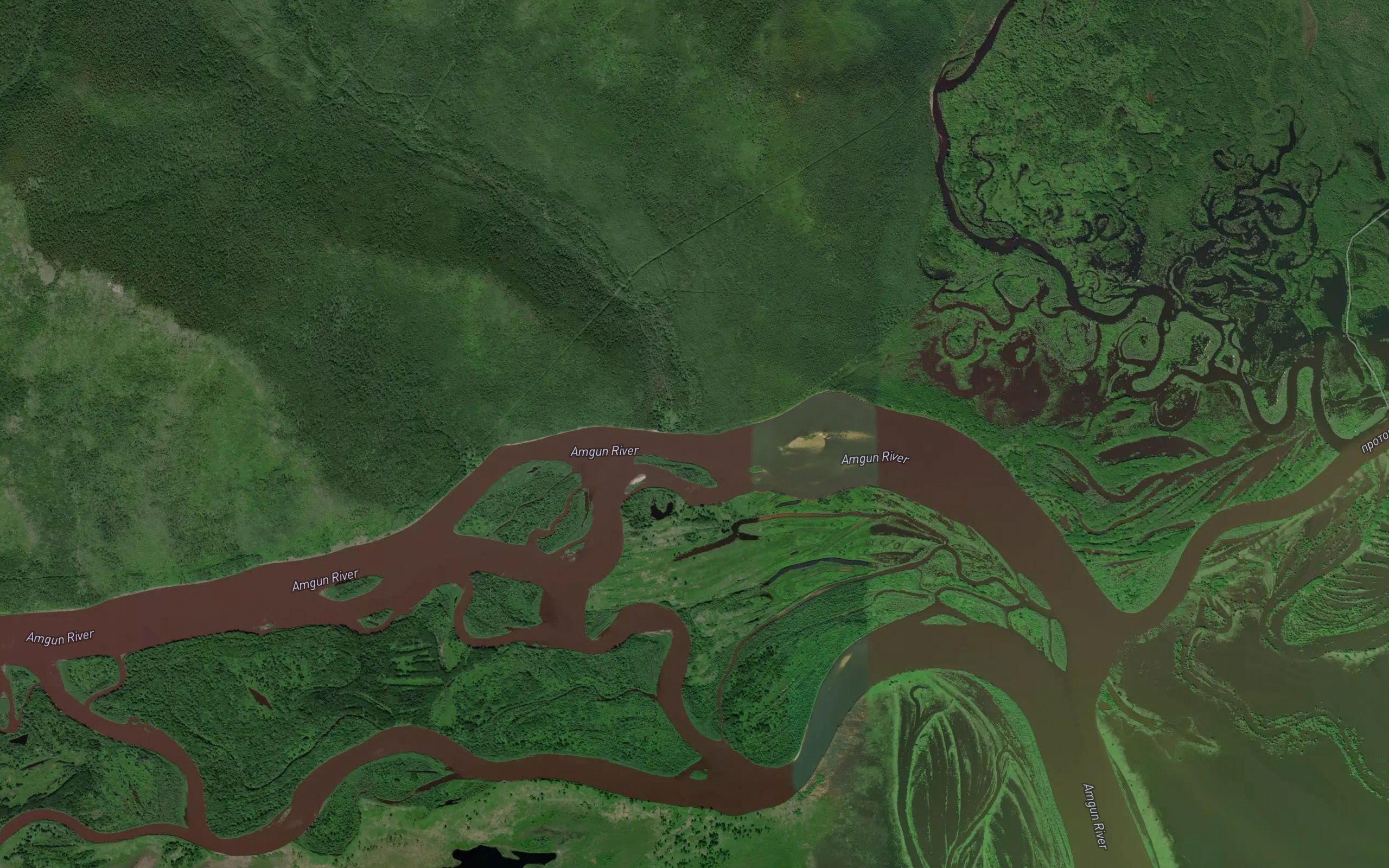 Lyuga