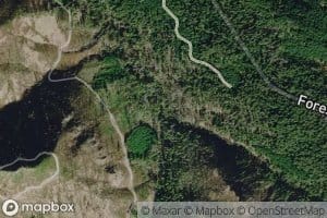 Tumblebug Creek