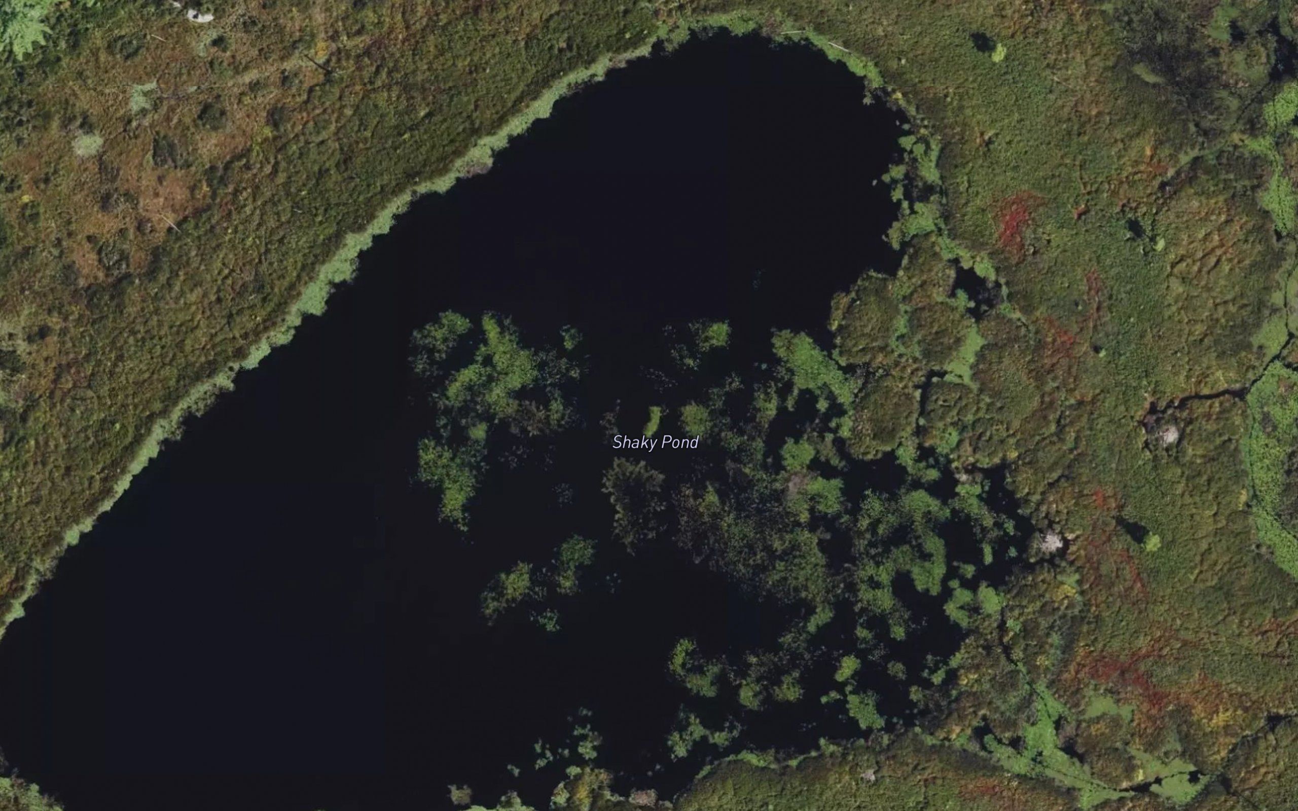 Shaky Pond