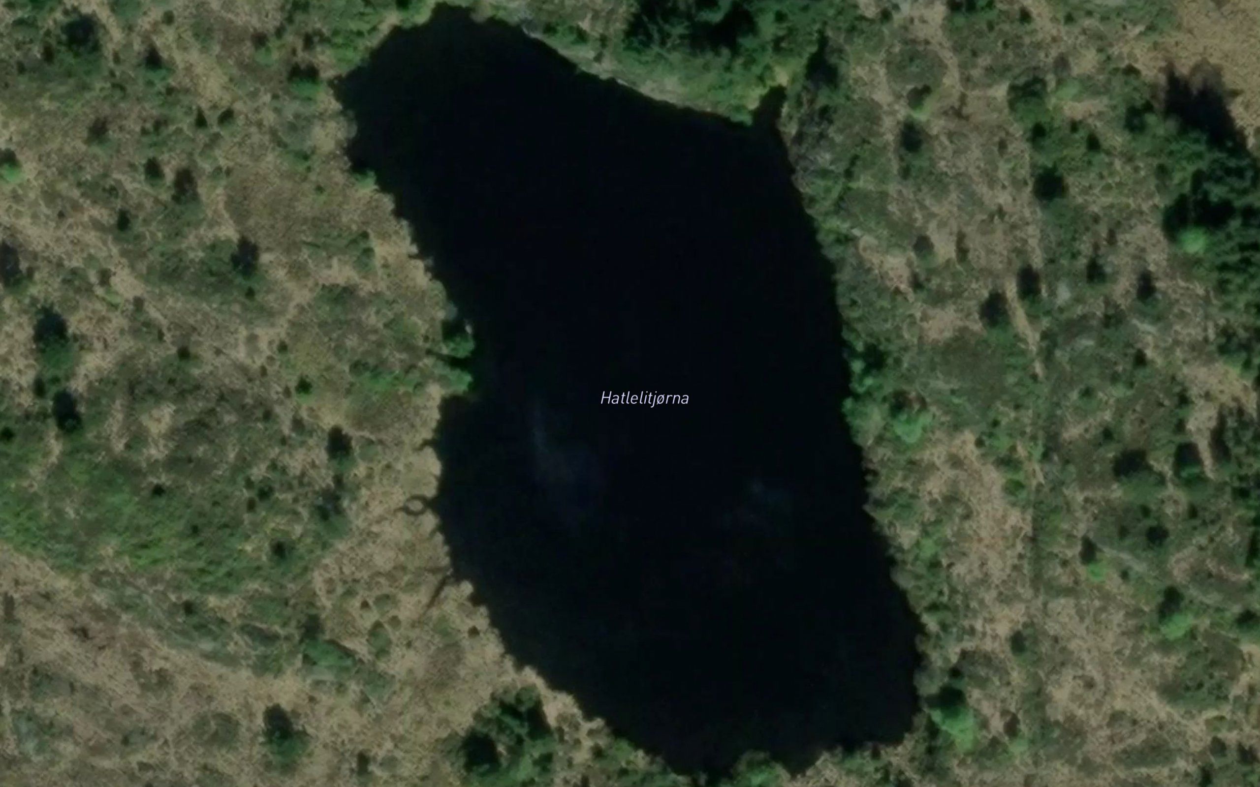 Hatlilitjorni
