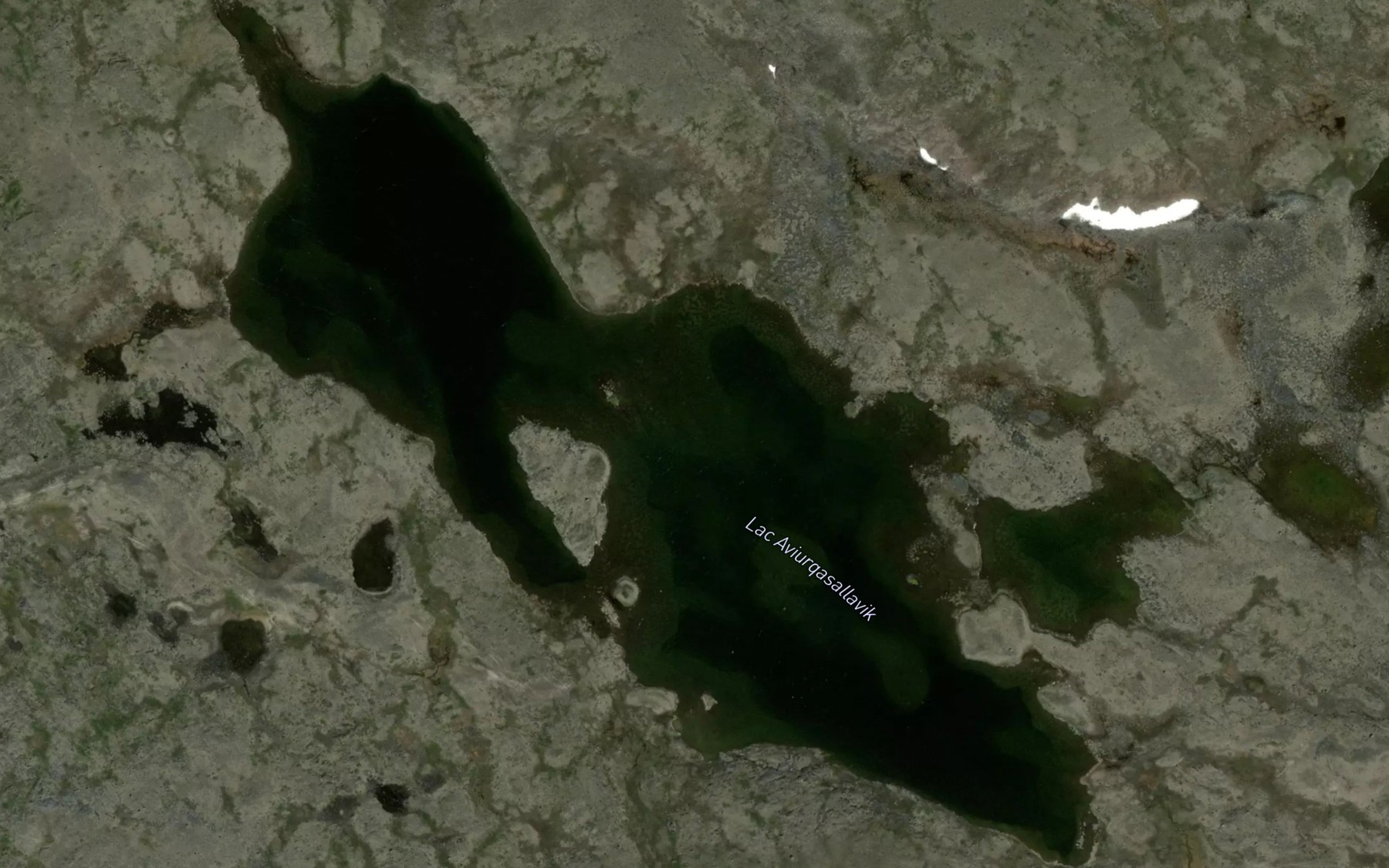 Satellite map of the Lac Aviurqasallavik