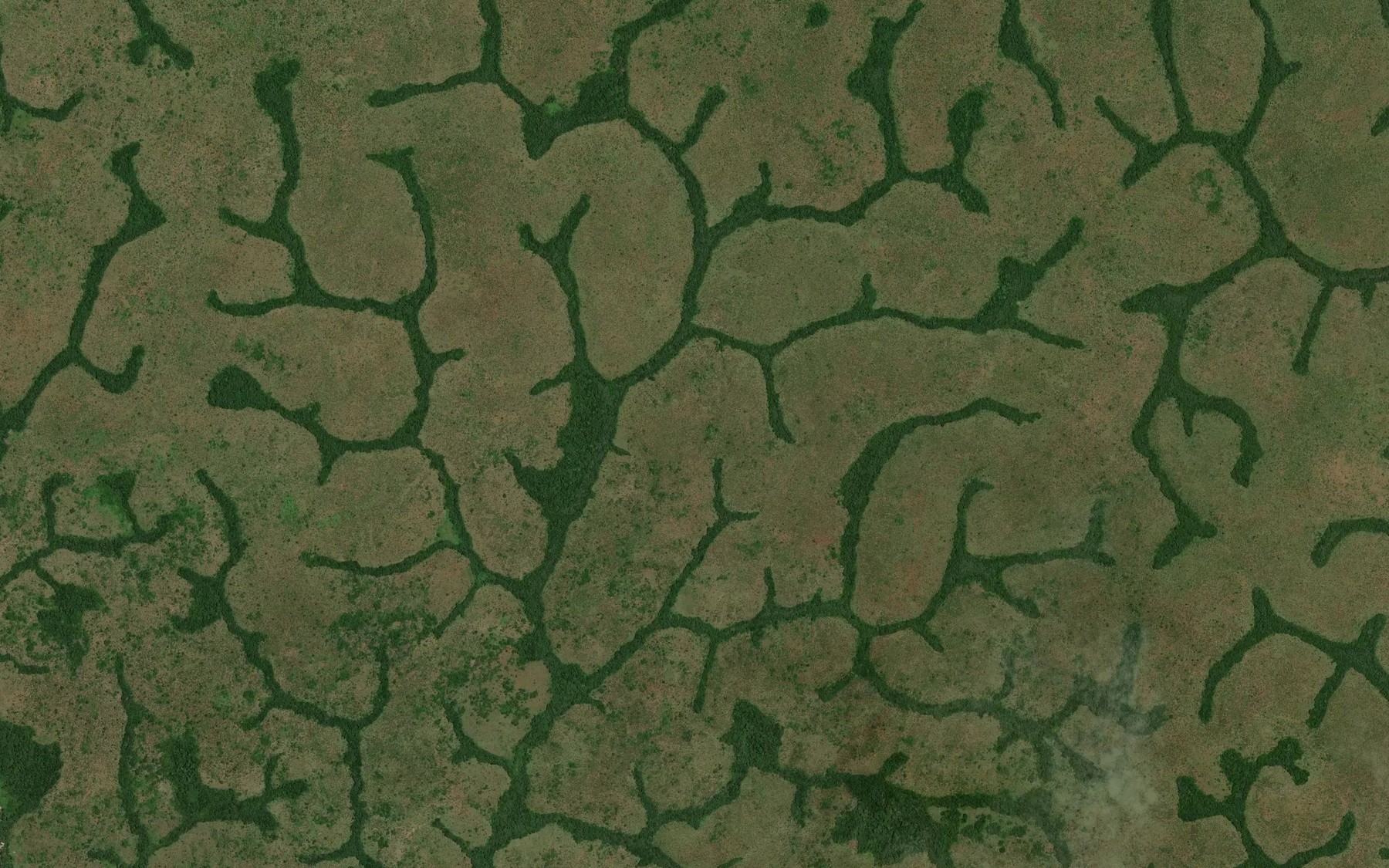 Satellite map of the Naambi